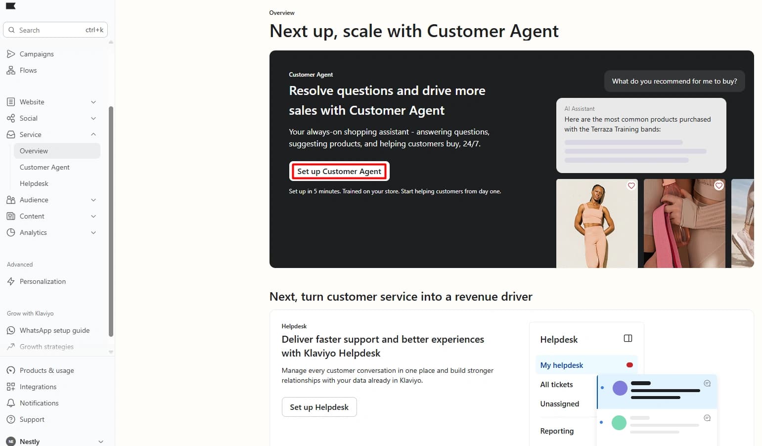Klaviyo Customer Agent